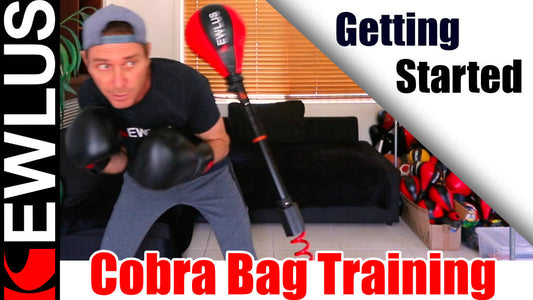 Cobra Bag Training - Getting Started