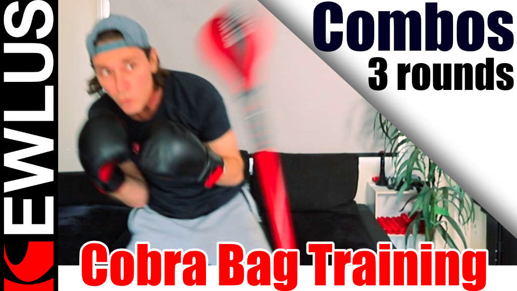 Cobra Bag Training - Combos (3 Rounds)