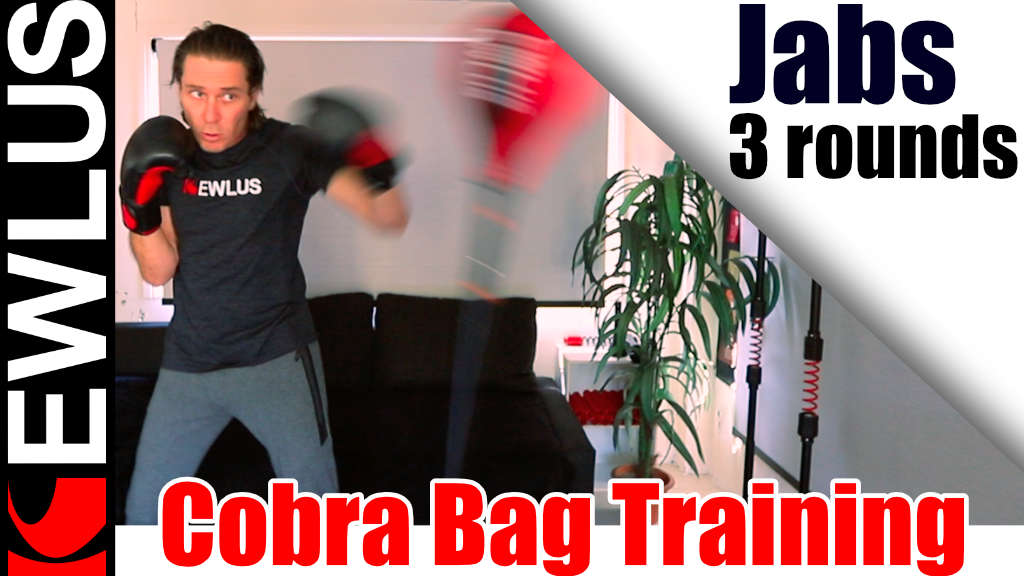 Cobra Bag Training - Jabs (3 Rounds)