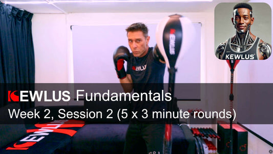 Kewlus Cobra Bag Fundamentals: Week 2, Session 2