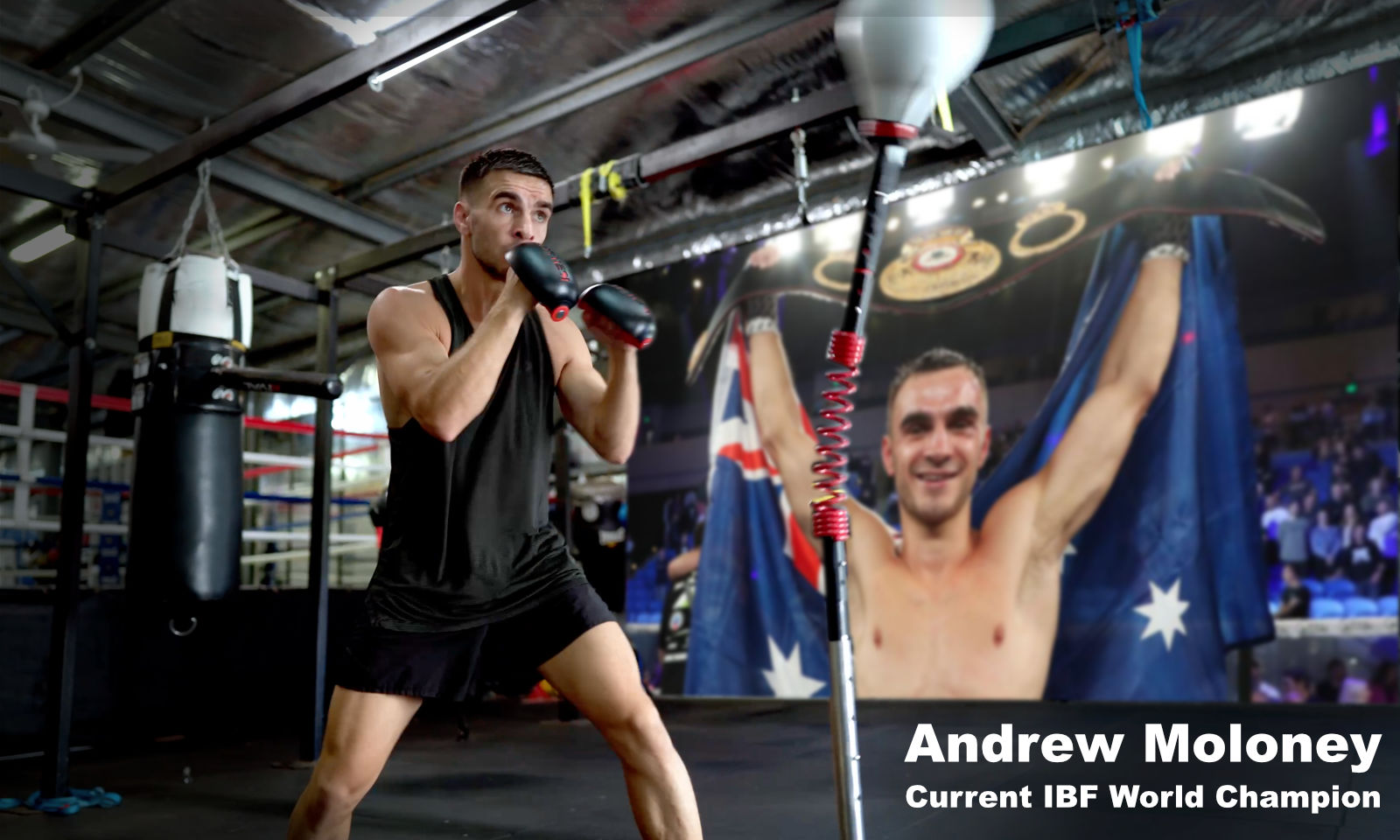 Load video: Andrew Moloney, current IBF World Champion training with the Pounders on the Kewlus Cobra Bag