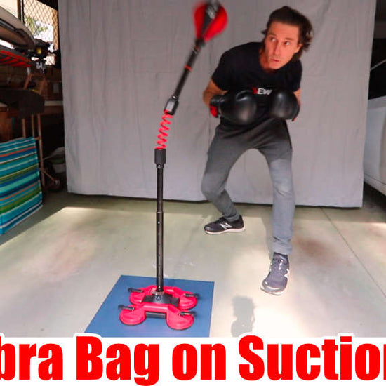 DIY Cobra Bag demo (KS2 Spring version) #homefitness #cobrabag