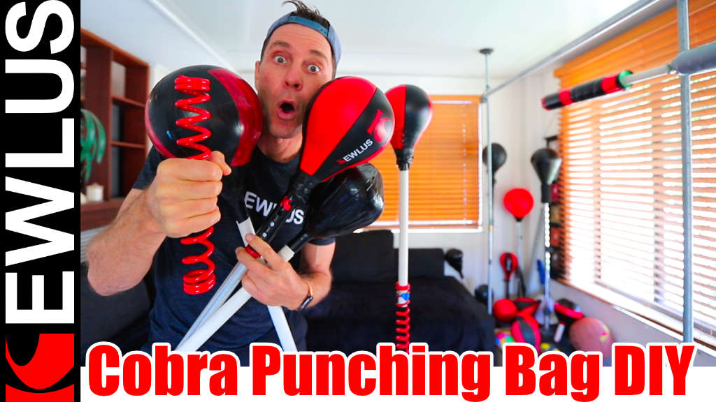 Ringside Cobra Reflex Bag Review | Best Reflex Punching Bag